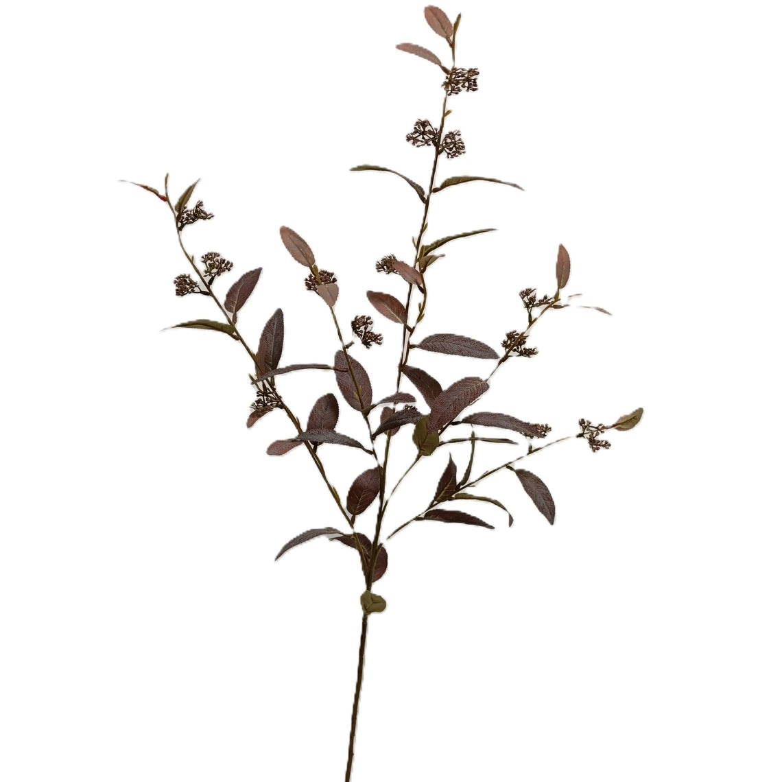 Olive Stem