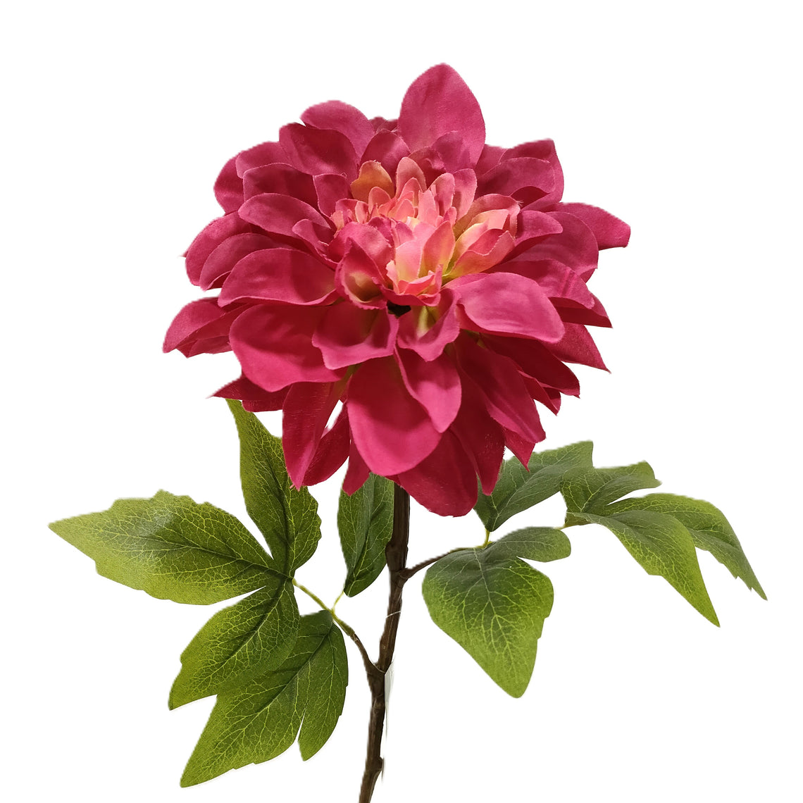 Peony
