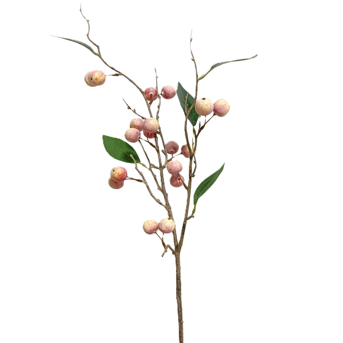 Mini Apple