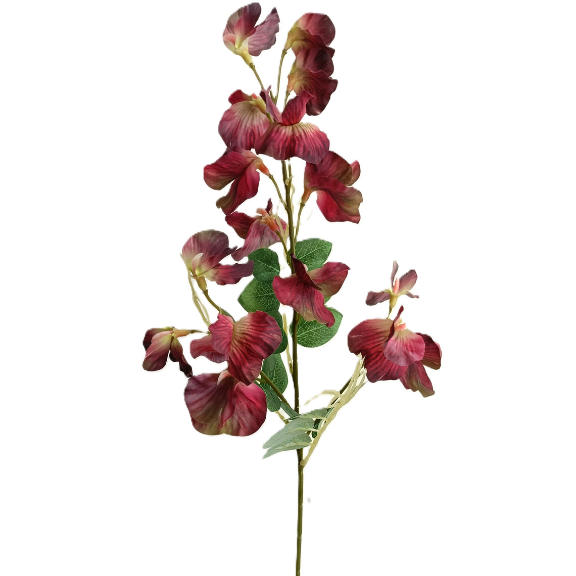 Pea Blossom