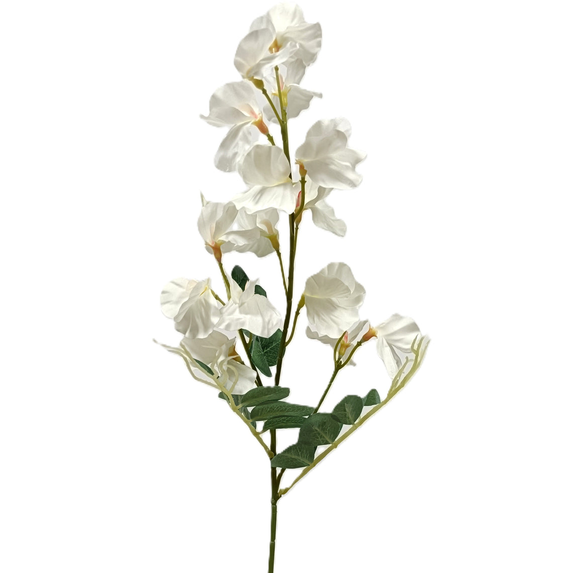 Pea Blossom