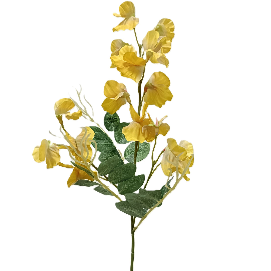 Pea Blossom
