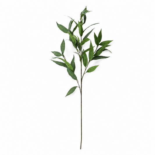 FS178 Eucalyptus Stem 38" PK 24