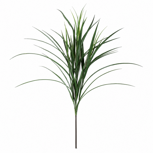 FS179 GRASS SPRAY 37.5" PK 12