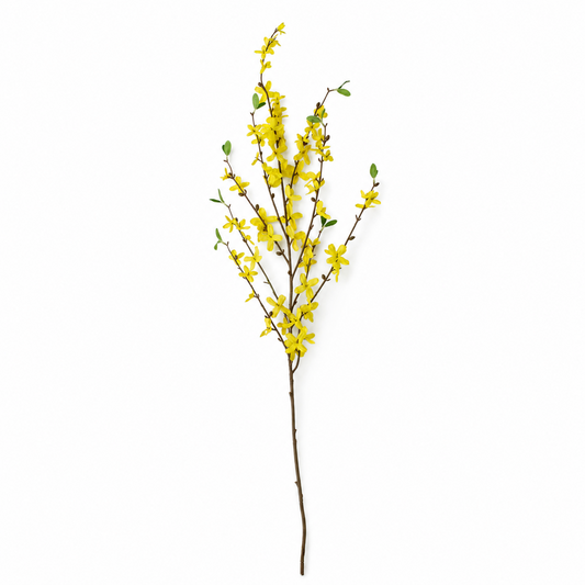FS193 Winter Jasmine 40" PK 12