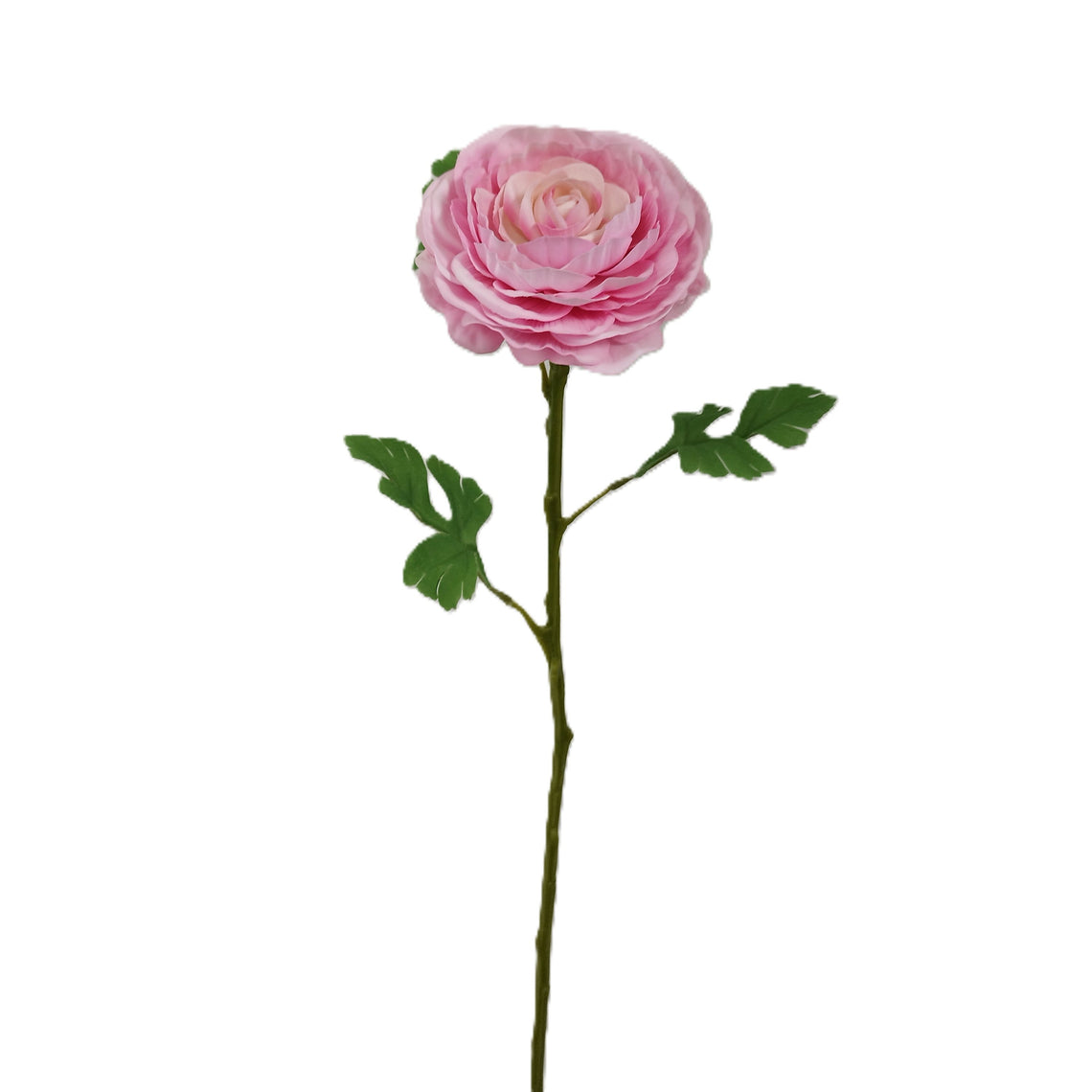 RealTouch Ranunculus