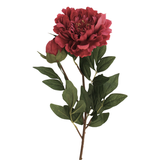 RT105 Real Touch Peony 12" PK 12