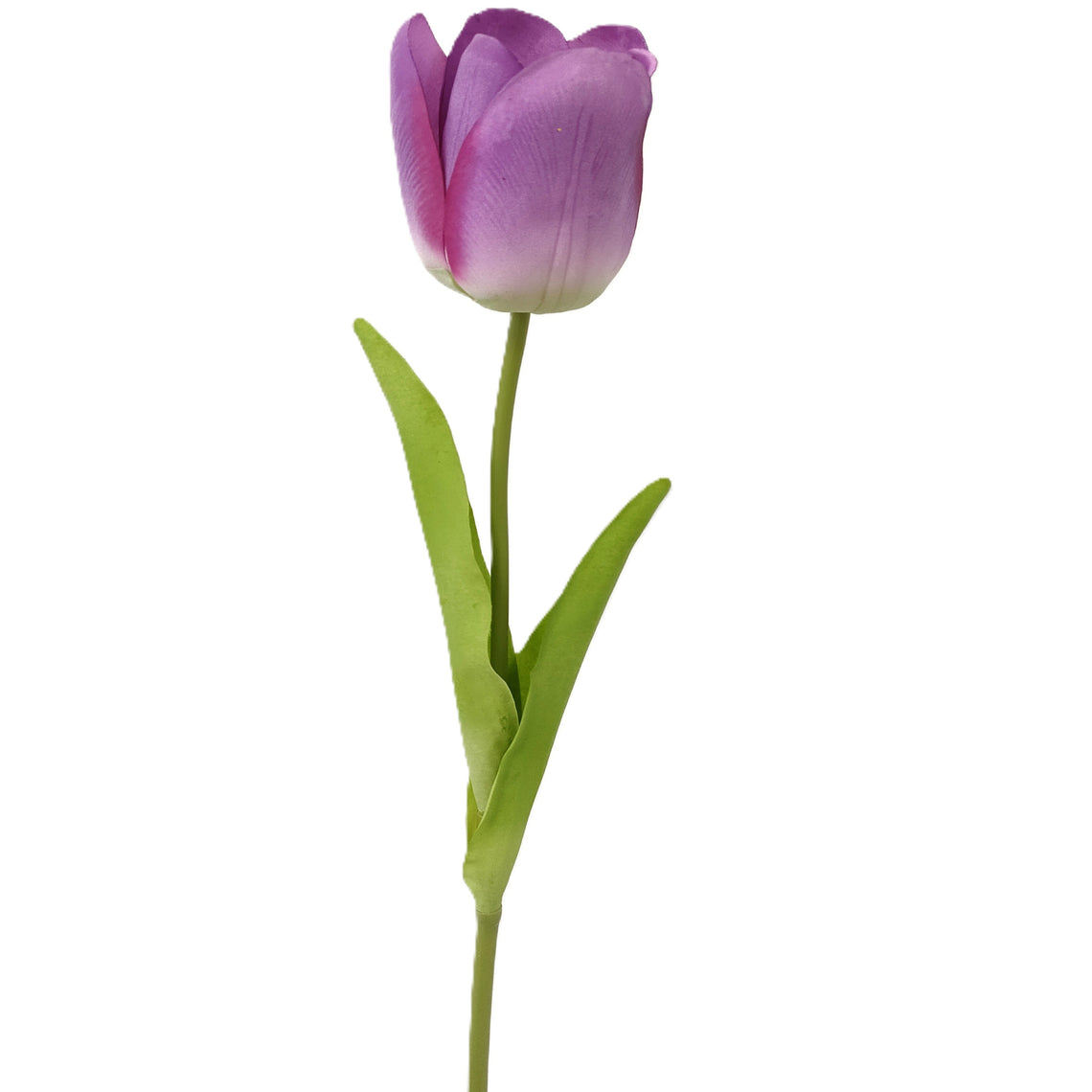 Real Touch Tulip