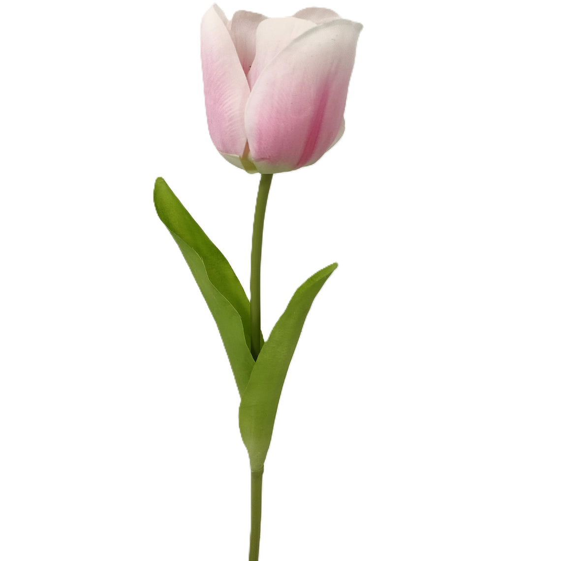 Real Touch Tulip