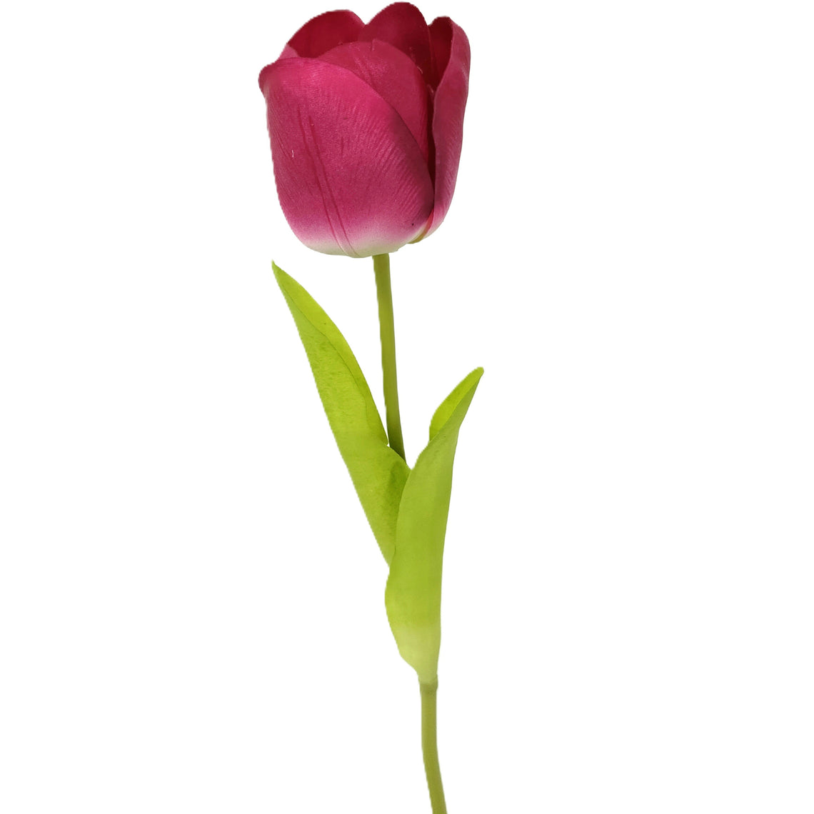 Real Touch Tulip