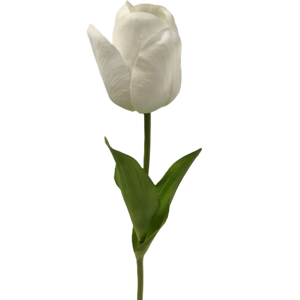 Real Touch Tulip