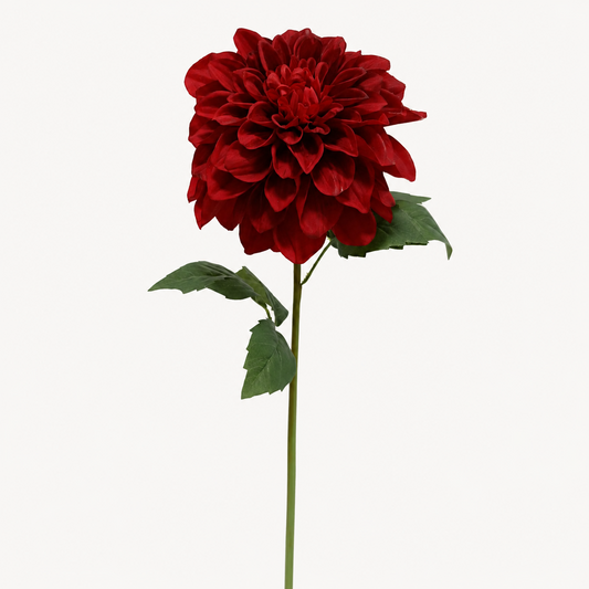 RT115 RE Real Touch Dahlia PK 12