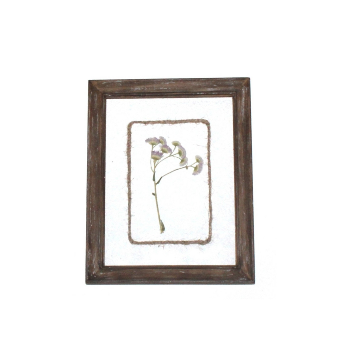 WA107 Botanical Flower Wall Art - Delicate Press Flower- Purple 8" x 1" x 10"