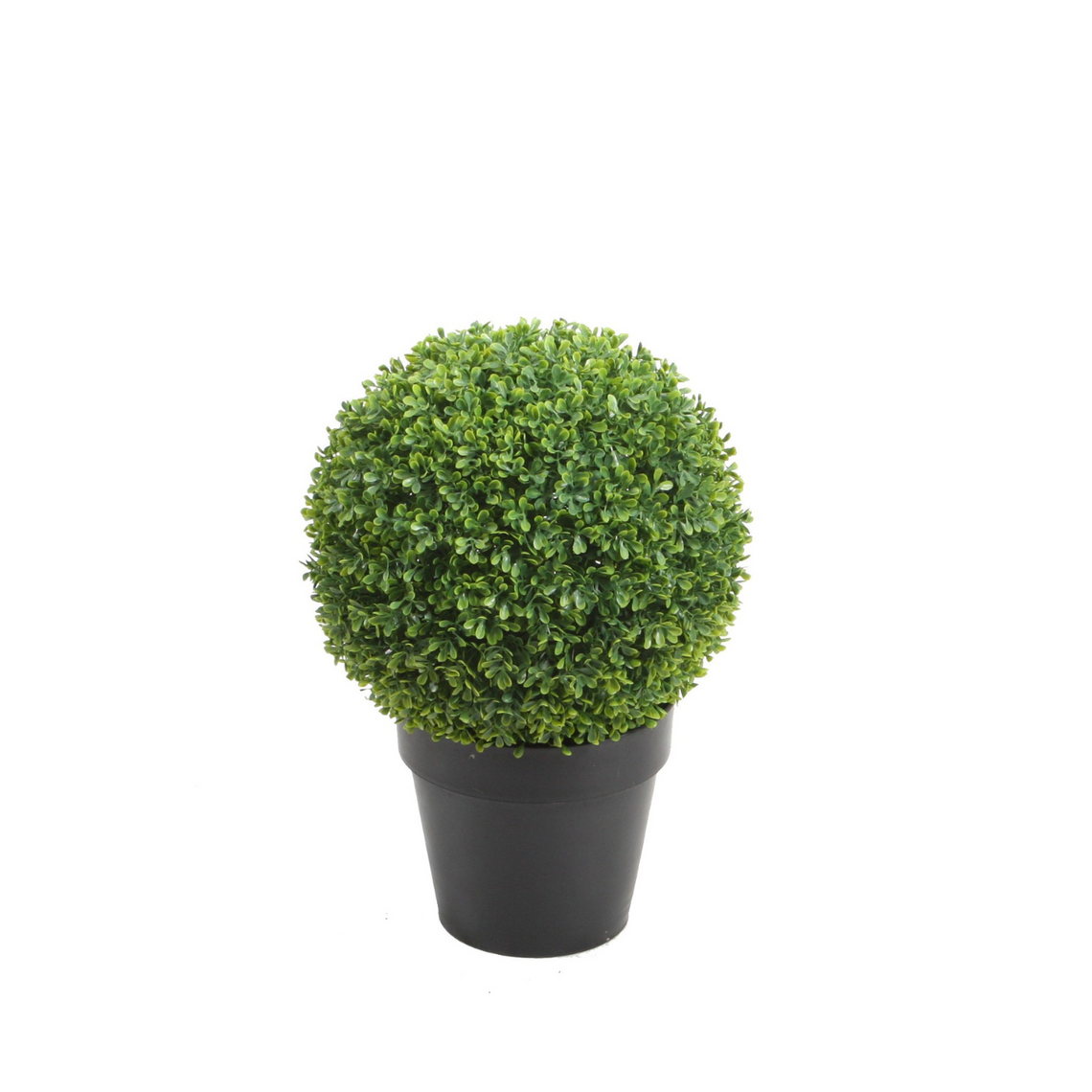 PTT124 Boxwood Single Ball 1.5'