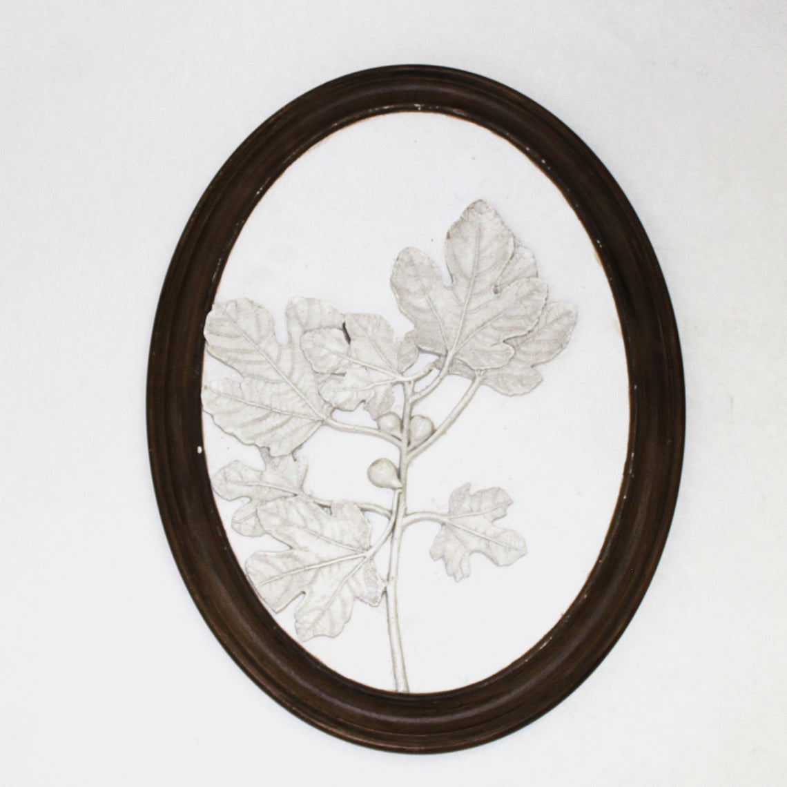 Fig Leave Wall Art