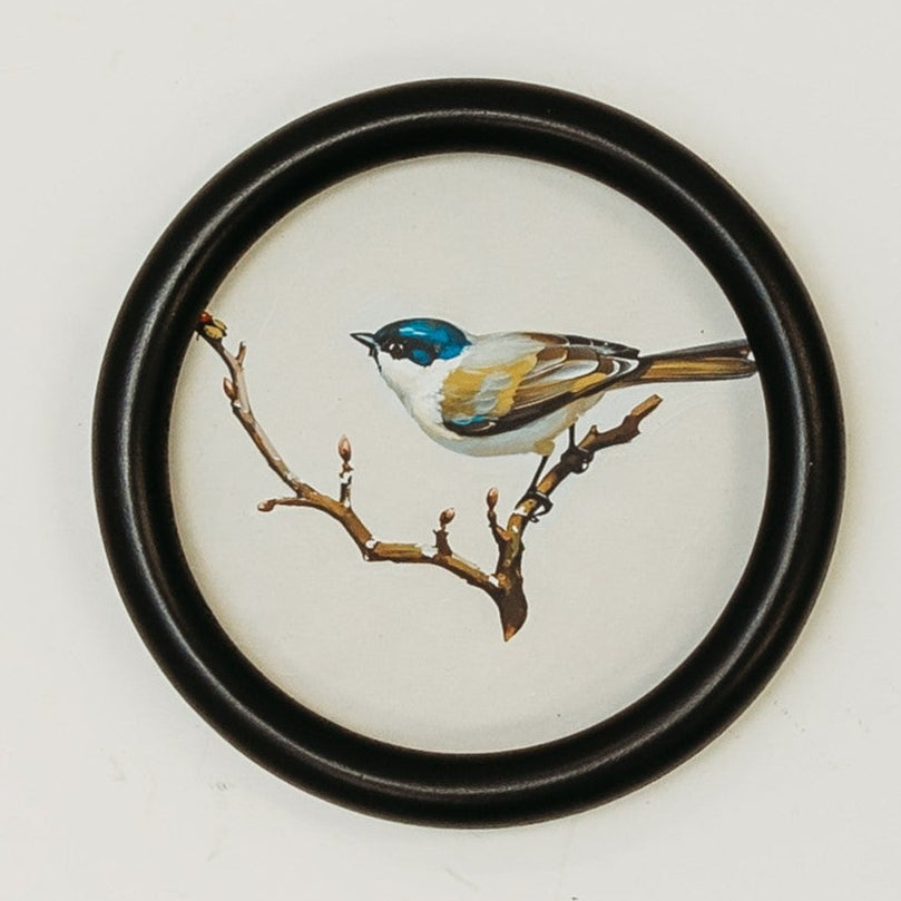 Bird Wall Art - Song Bird Blue/Yellow