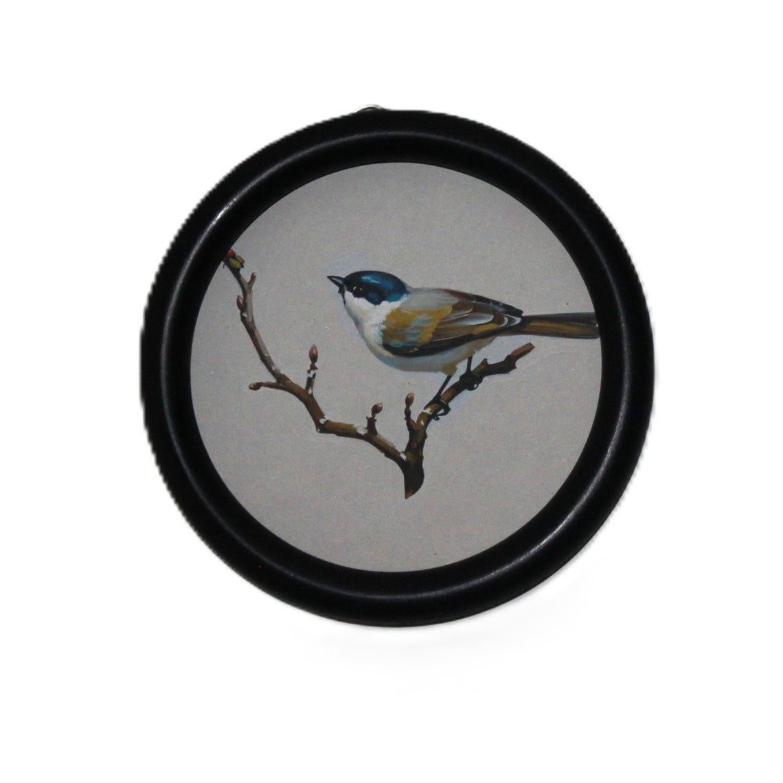 WA115 Bird Wall Art - Song Bird Blue/Yellow 5.75" x .75" x 5.75"