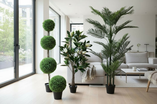 Brighten up any room, all year round.