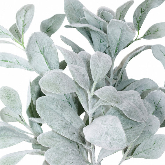 10001BNDL Lamb Ear Bundle 28" PK 12
