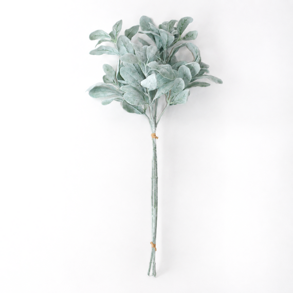 10001BNDL Lamb Ear Bundle 28" PK 12