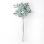 10001BNDL Lamb Ear Bundle 28" PK 12
