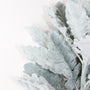 10002BNDL  Dusty Miller Bundle 22" PK 12