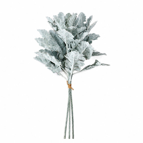 10002BNDL  Dusty Miller Bundle 22" PK 12