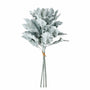 10002BNDL  Dusty Miller Bundle 22" PK 12