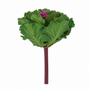 10003PX Cabbage Pick 7.5" PK 12