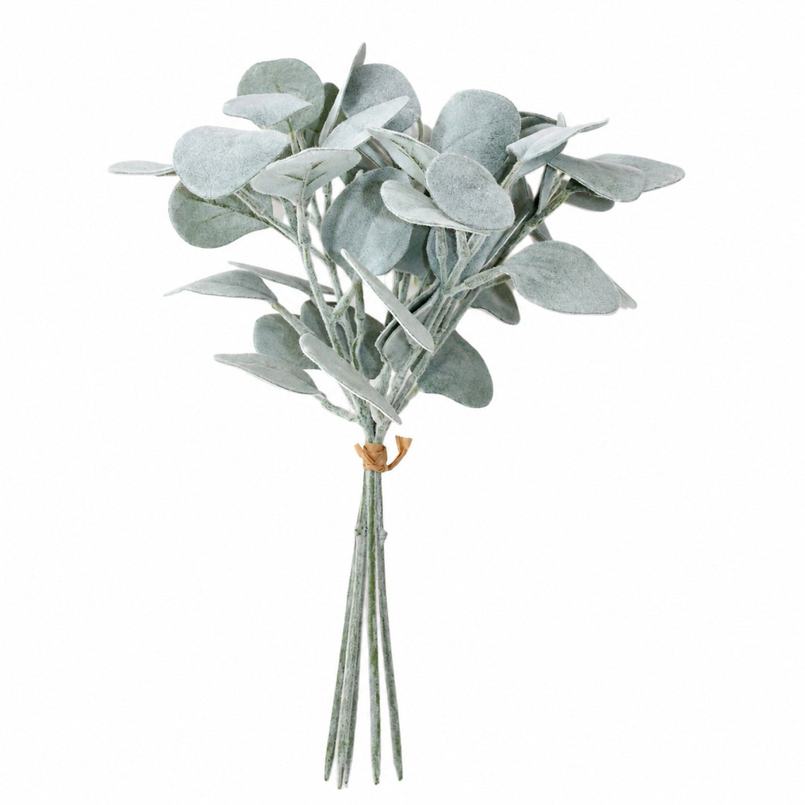 10007BNDL Eucalyptus Bunch 13" PK 12