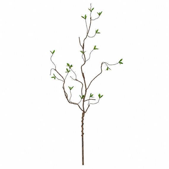 10010SP Curly Willow W/Leaves 43.5"  PK 24