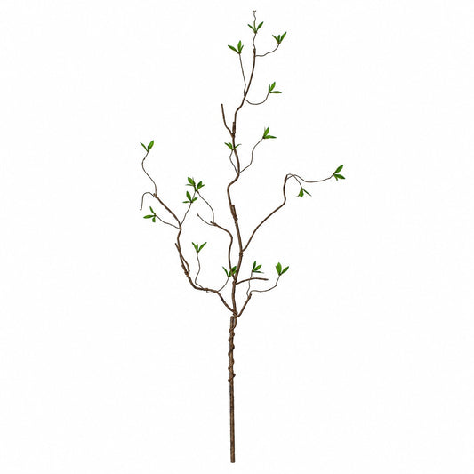 10010SP Curly Willow W/Leaves 43.5"  PK 24