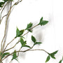 10014SP Leaf Bunch 46" PK 6