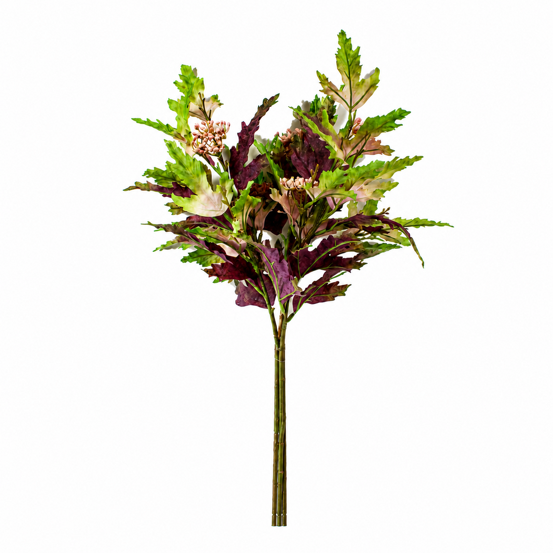 10015BNDL Grevillea 21" PK 12