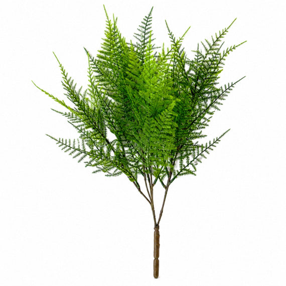 10022BH  Asparagus Bush  15" X3 PK 24
