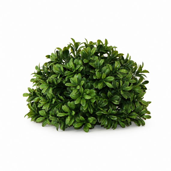 10025ORB New Boxwood Half Orb 7"D X 6.5"H PK 12