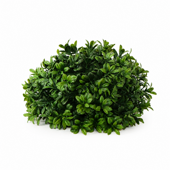 10026ORB New Boxwood Half Orb 8"D X 5.5"H  PK 12
