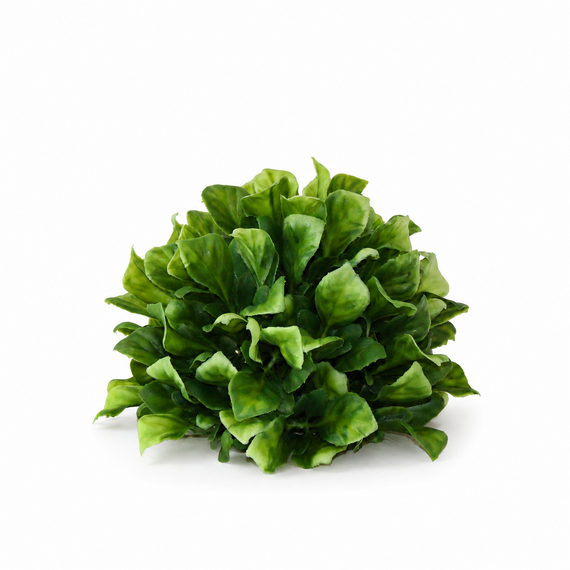 10027ORB Prunella Leaf Half Orb 6"D X 4.75"H  PK 12