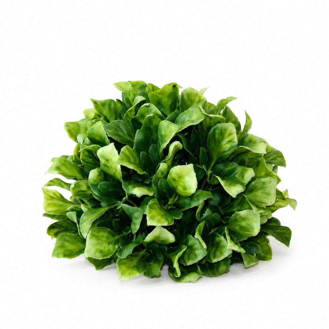 10028ORB Prunella Leaf Half Orb 7.5"D X 5.5"H PK 6