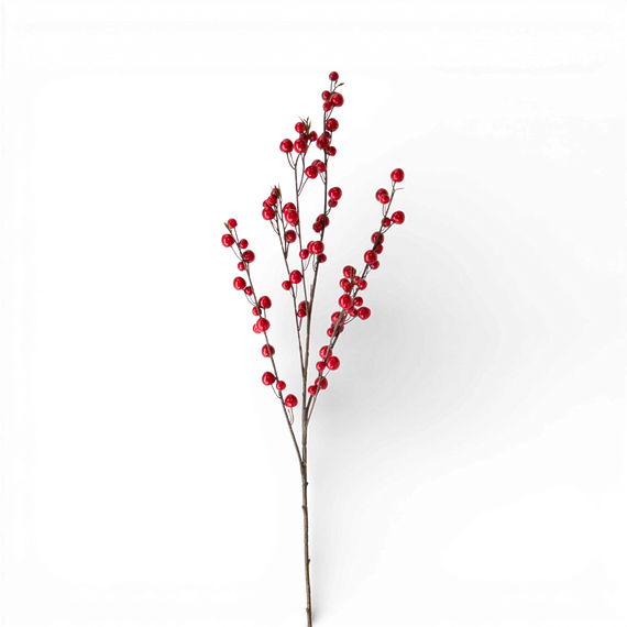 3004BS Berry Stem 40"  PK12