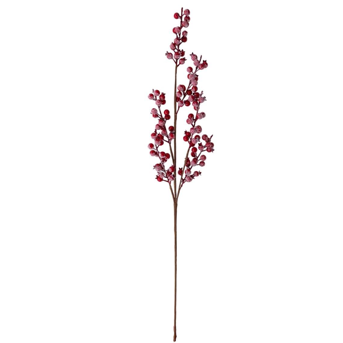 3008BS Berry Spray Red 30" PK12