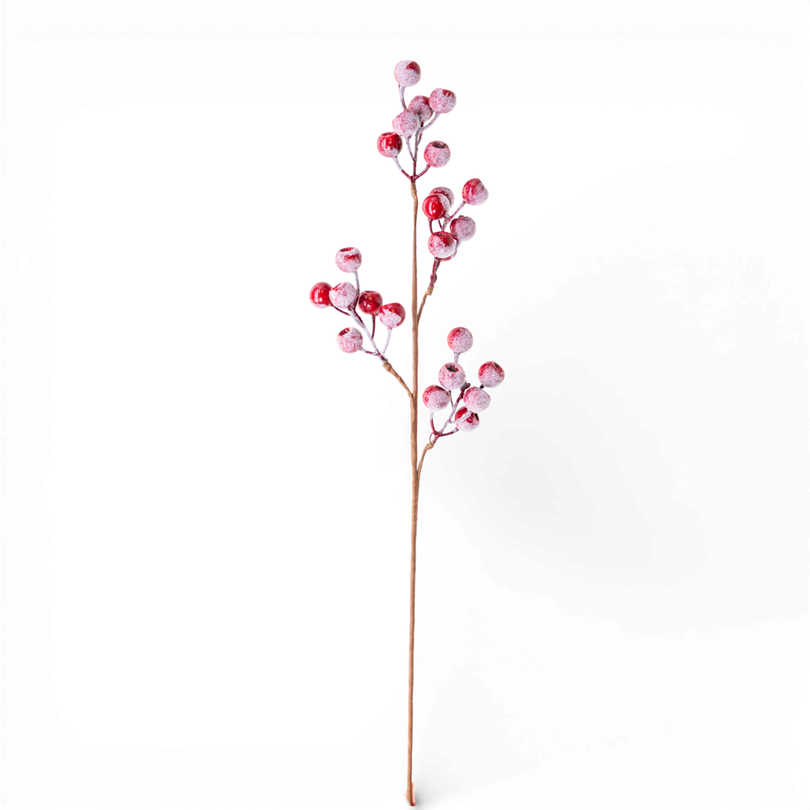 3009BS Berry Spray Red 30" PK 12