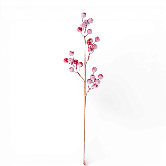 3009BS Berry Spray Red 30" PK 12