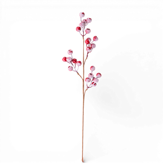 3009BS Berry Spray Red 30" PK 12