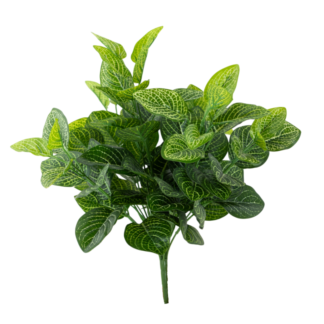 BH101 Nerve Plant Bush 15.5"H PK 4