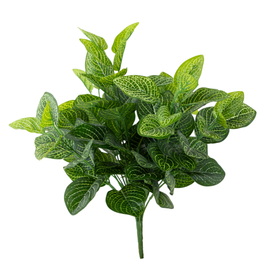 BH101 Nerve Plant Bush 15.5"H PK 4