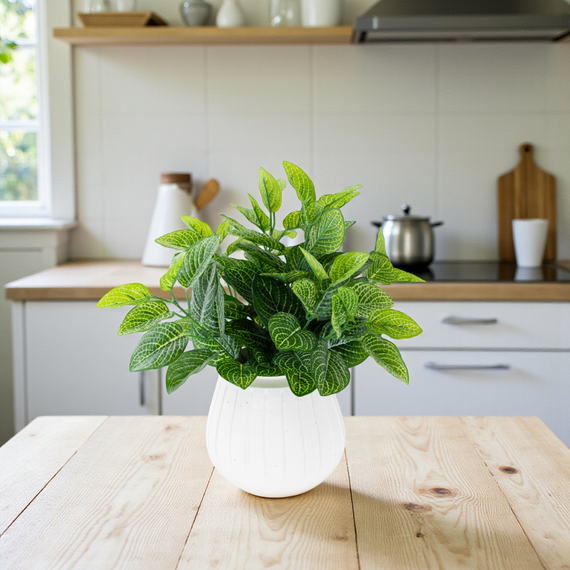 BH101 Nerve Plant Bush 15.5"H PK 4