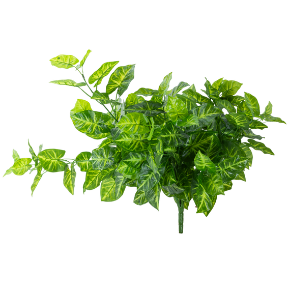 BH103 Syngonium Hanging Bush 23.5" PK 2