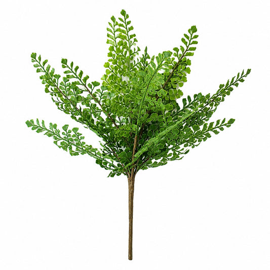BH121 Fern Bush 18" PK 12