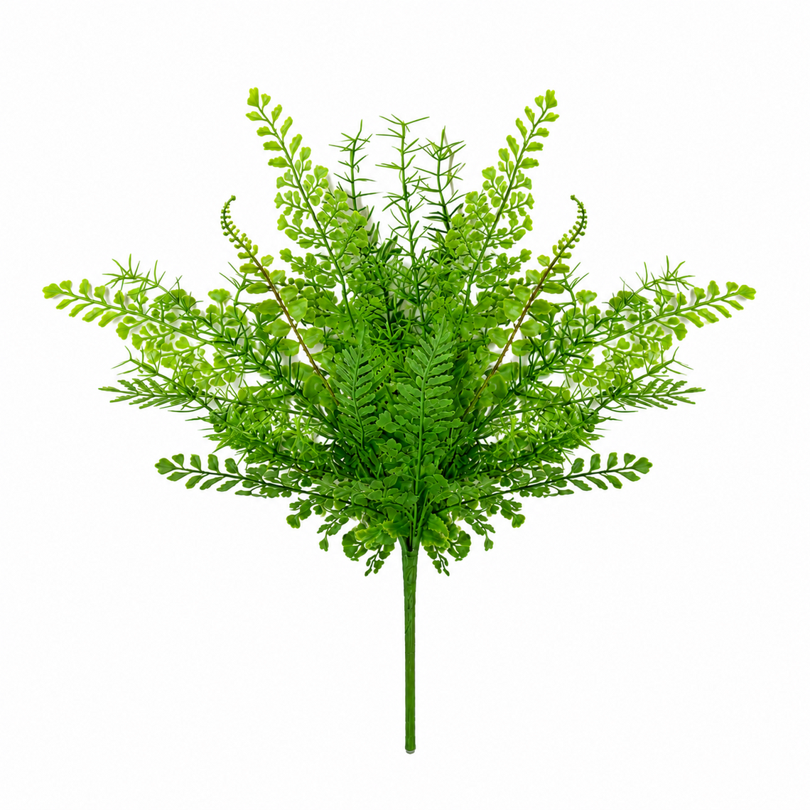 BH122 Fern Bush 20" PK 12